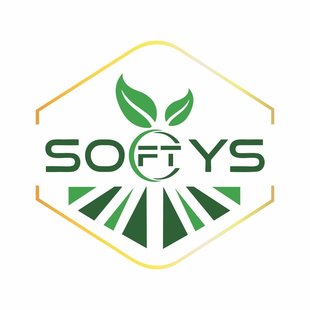 SOFTYS INCORP logo